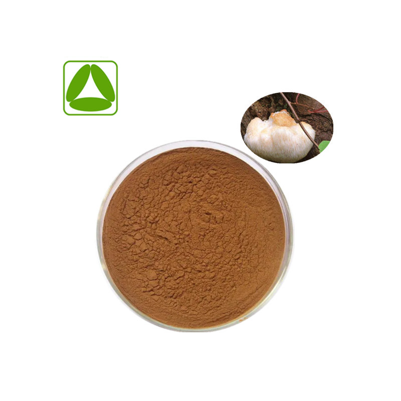 Potent Lion's Mane Mushroom Extract Powder for Brain Health and Focus