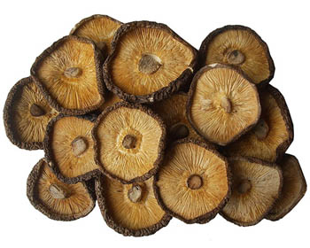 Supply Natural Shiitake Mushroom Straight Extract Powder