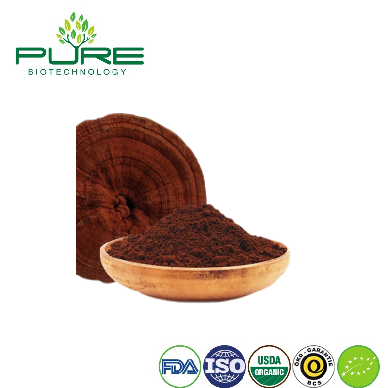 Natural Reishi Mushroom Extract Powder for Overall Wellness Boost