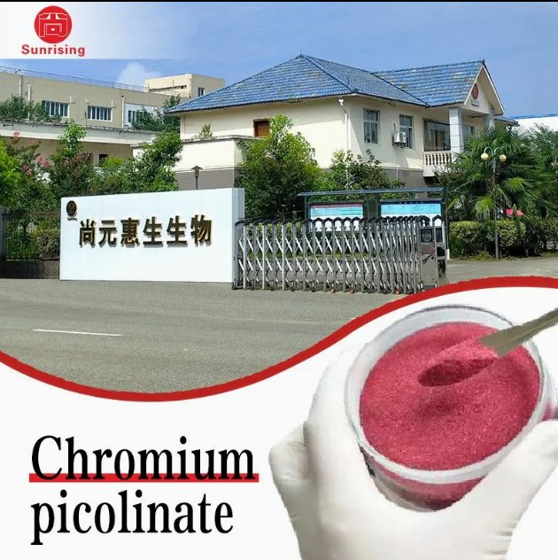 Factory Supply Chromium Picolinate Nutritional Supplement Feed Additive for Stress Reduction