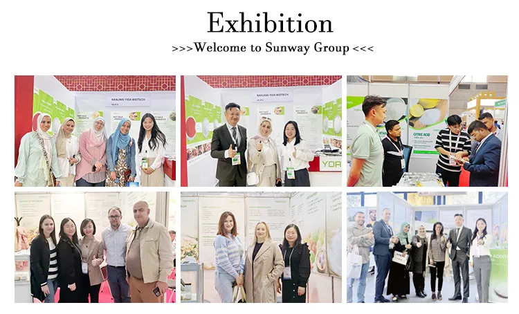 Product Application Display