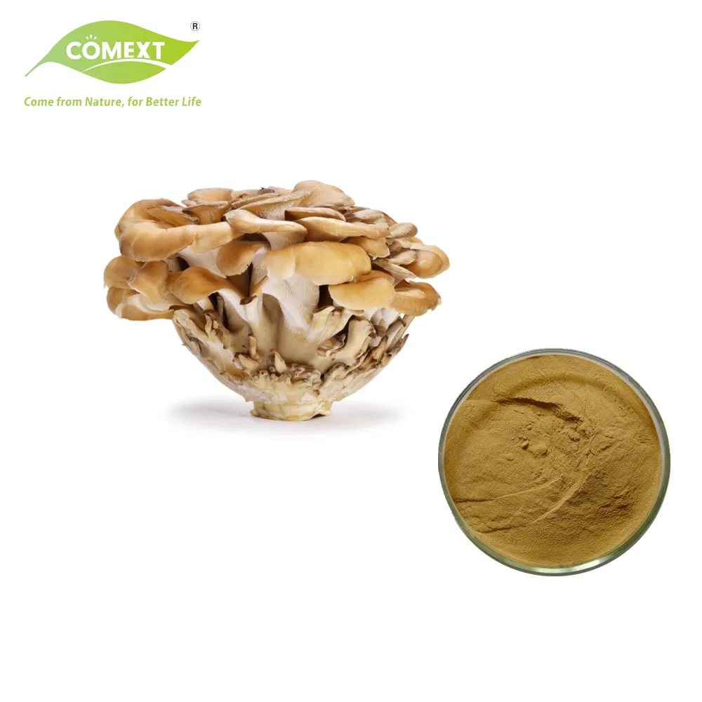Comext ISO Fssc Halal Kosher Organic Manufacturer Free Sample 10%~50% Polysaccharides Maitaike Mushroom Extract Powder