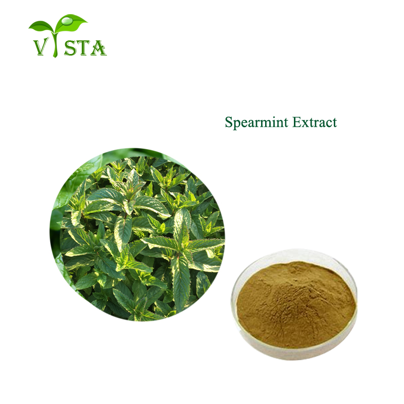 Factory Supply Plant Extract Water Soluble Mint Flavor Powder Natural Spearmint Extract Peppermint Extract