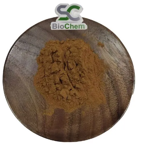 Reishi Herbal Powder Extract