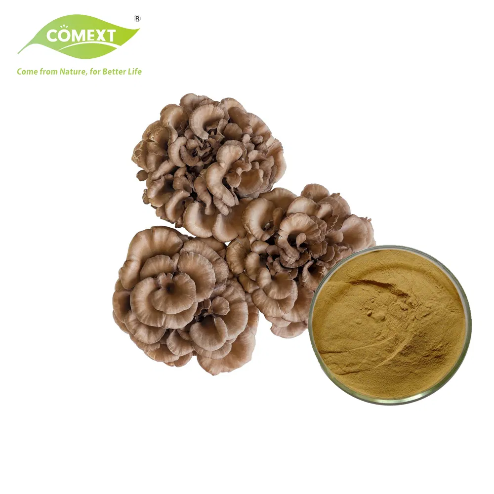 Comext ISO Fssc Halal Kosher Organic Manufacturer Free Sample 10%~50% Polysaccharides Maitaike Mushroom Extract Powder