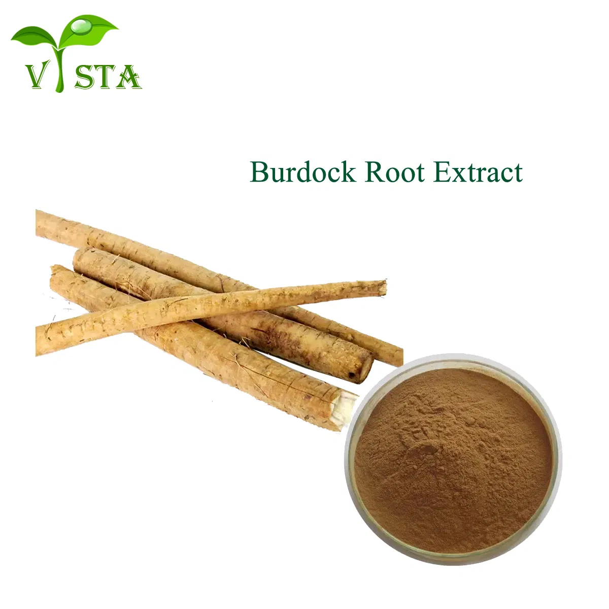 High Quality Traditional Chinese Medicine Herbal Extract Arctium Lappa Burdock Root Extract