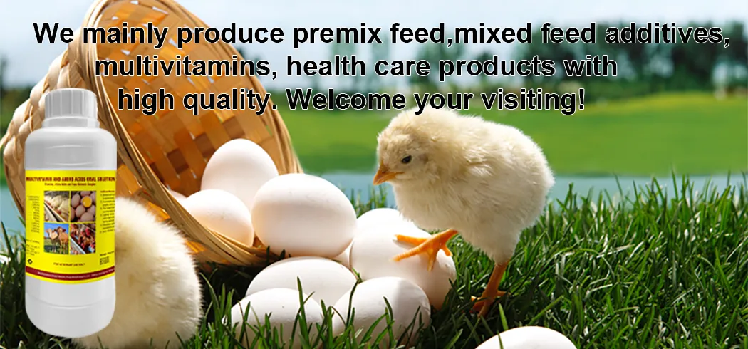 Multivitamin Supplement