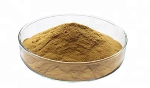 World Well-Being Plant Extract 30: 1 Dendrobium Officinale Extract Dendrobium Polysaccharide 98% Water Soluble Dendrobium Extract