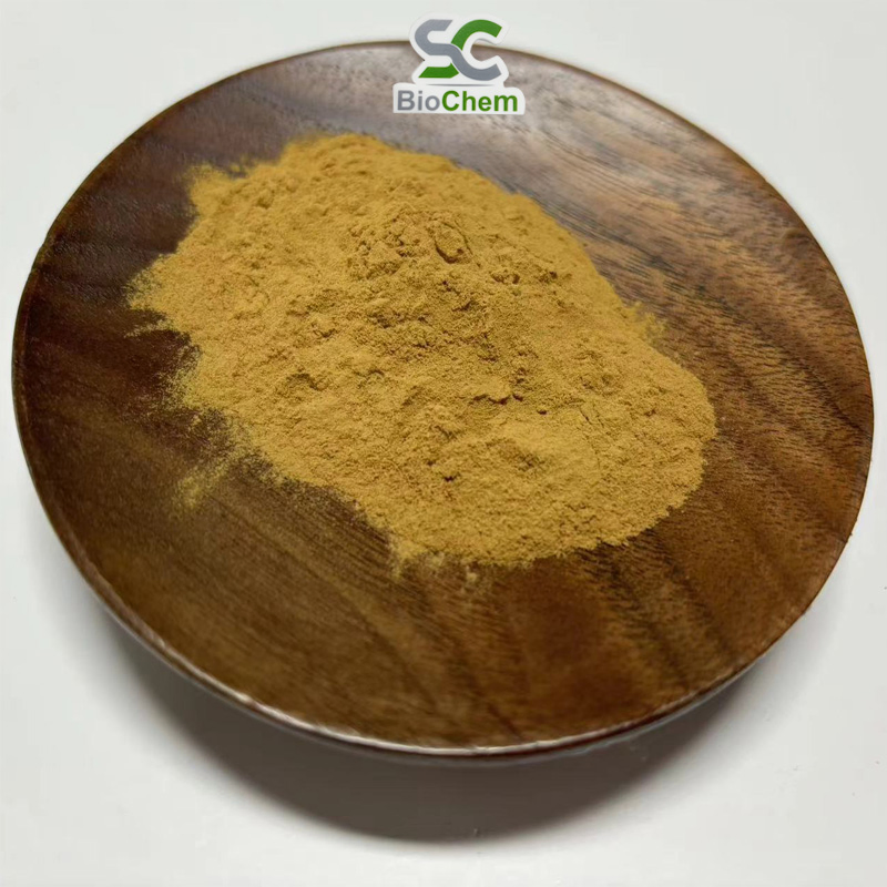 Factory Supply Natural Plant Extract Herb Extract 10%-98% Forskolins Coleus Forskohli Extract
