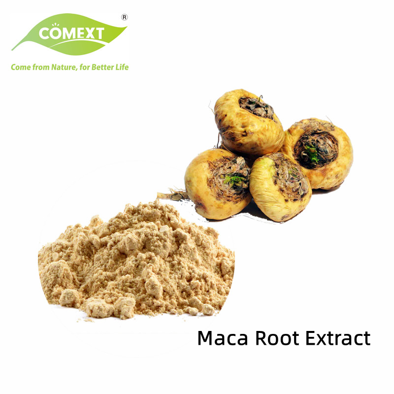 Comext China Manufacturer Free Sample USA Inventory Organic Herbal Root Powder 10: 1 0.6% Macamides Plant Red Black Yellow Maca Extract