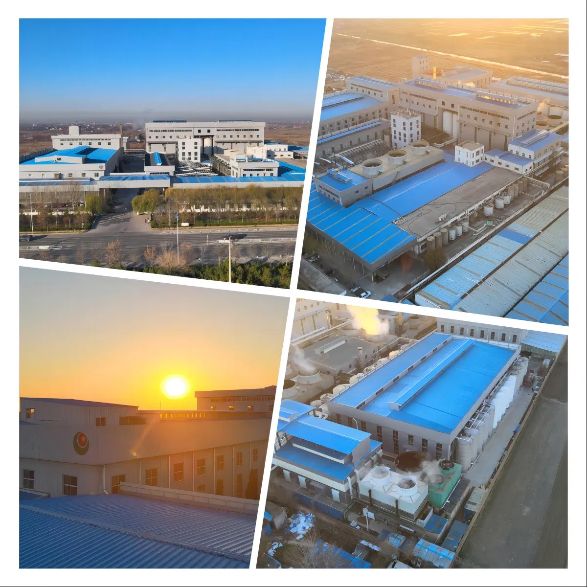 Healthy Food Functional Sugar Natural Sweetener Erythritol