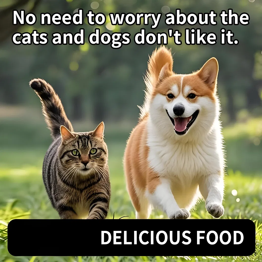 Pet Health Care Supplement