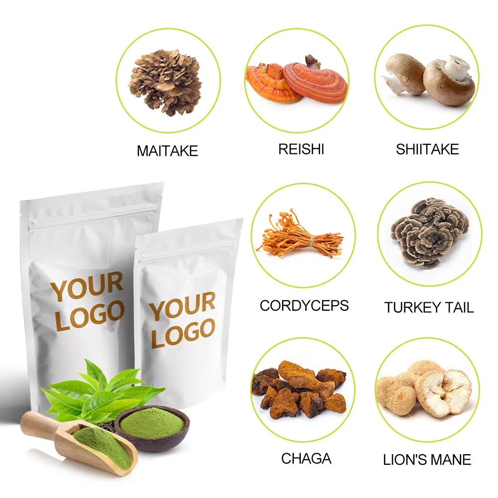 Mushroom Extract Powder 2