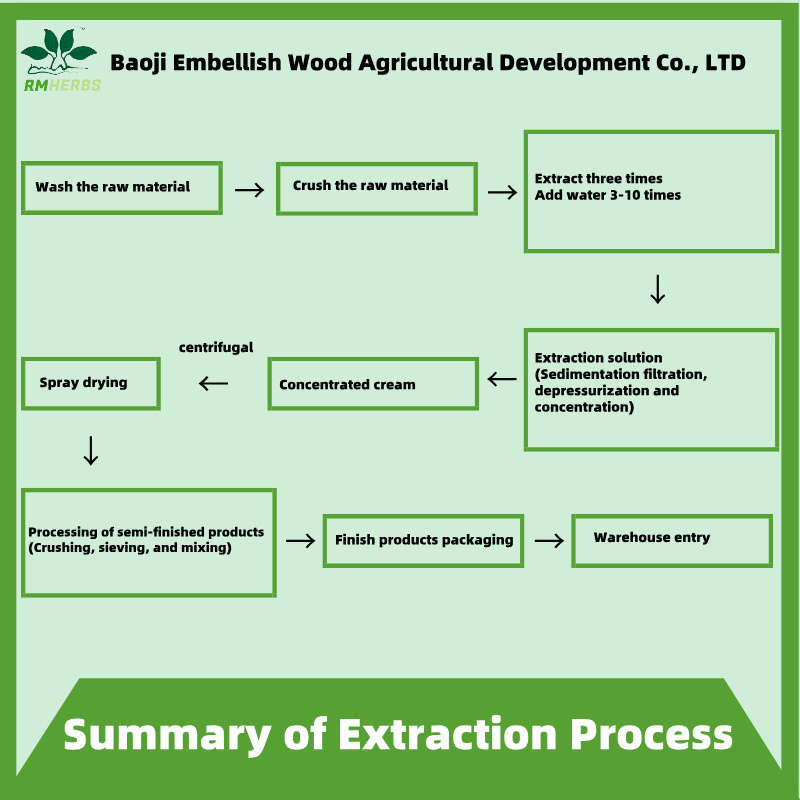Premium Plant Extract Purslane Extract 10: 1 for Natural Health Benefits