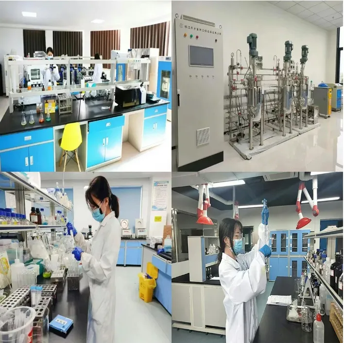 Laboratory