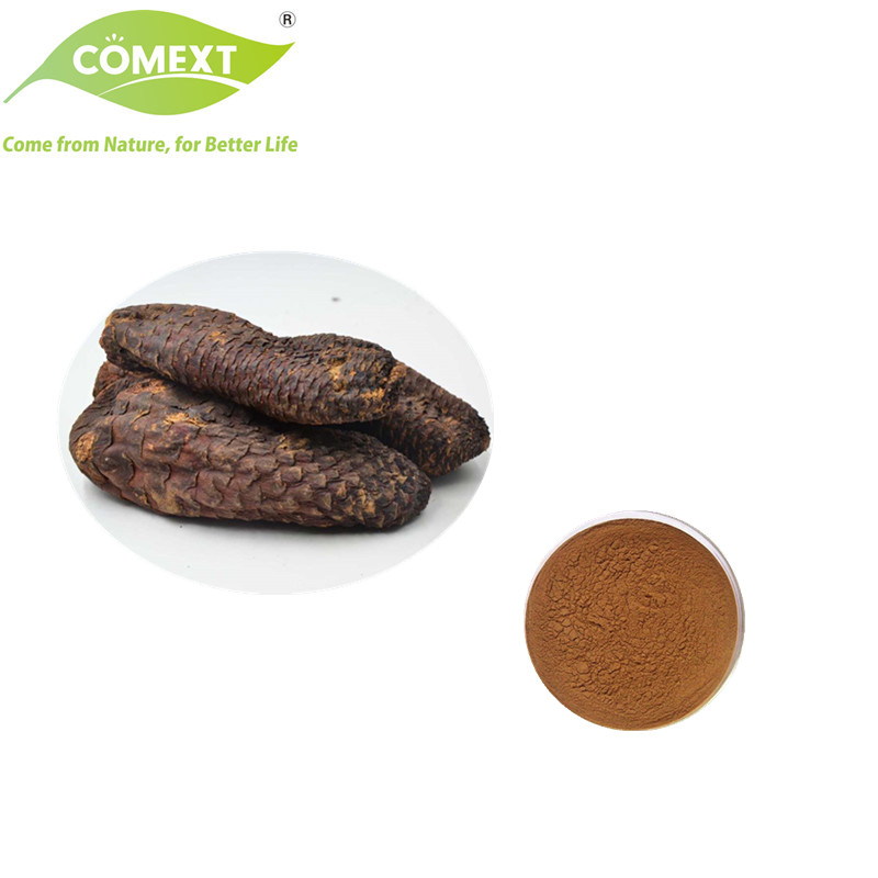 Comext Traditional Chinese Medicine Herb Extract Health Food Increase Male Functional Cistanche Tubulosa
