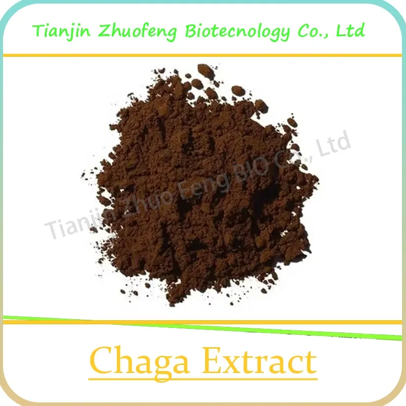 Organic Chaga Mushroom Extract