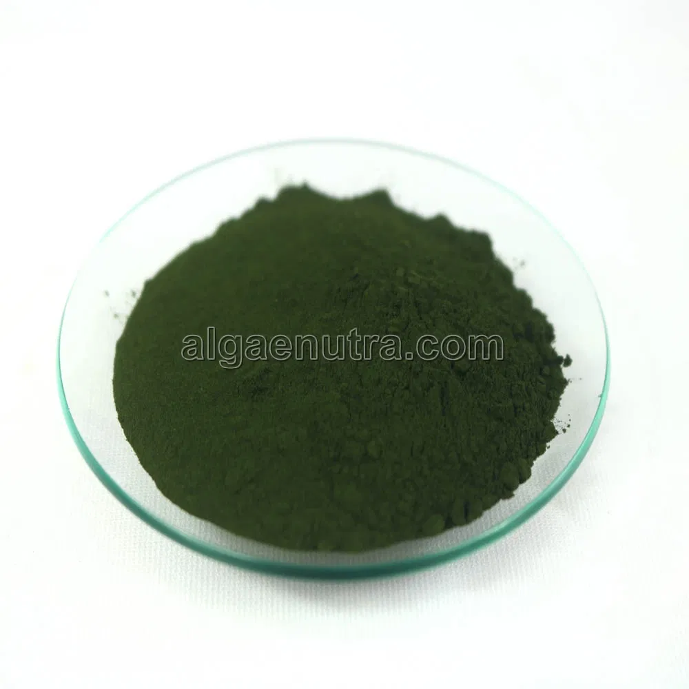 High Quality High Protein 65% Chlorella Powder Healthy Food Additive