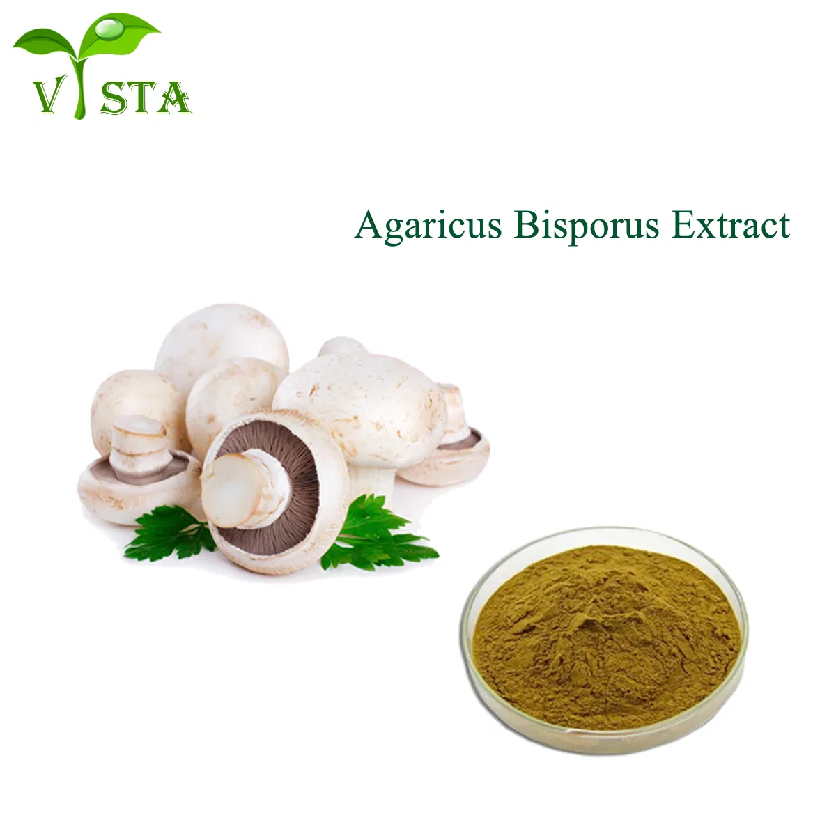 Factory Supply Organic Water Soluble 5: 1~20: 1 Agaricus Bisporus Mushroom Extract Powder