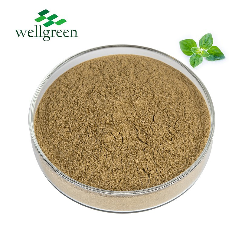 High Quality Organic Oregano Leaf Extract 10: 1 Plant Extract Oregano Extract Powder