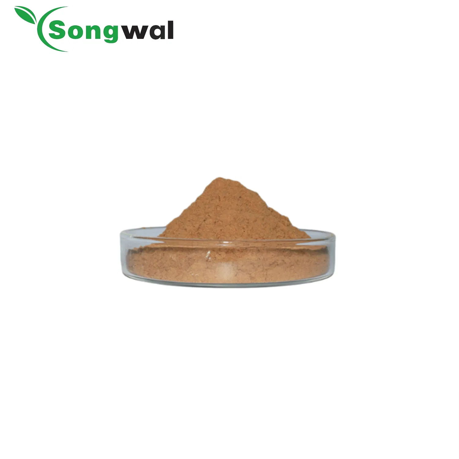 Factory Price Water Soluble Cough Syrup 100% IVY Leaf Herbal Plant Extract