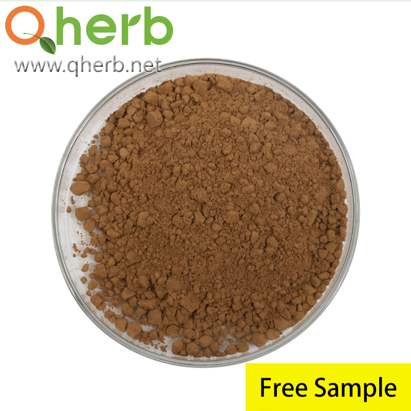 Polygonum Cuspidatum Extract Trans-Resveratrol 98% HPLC Free Sample Herbal Extract