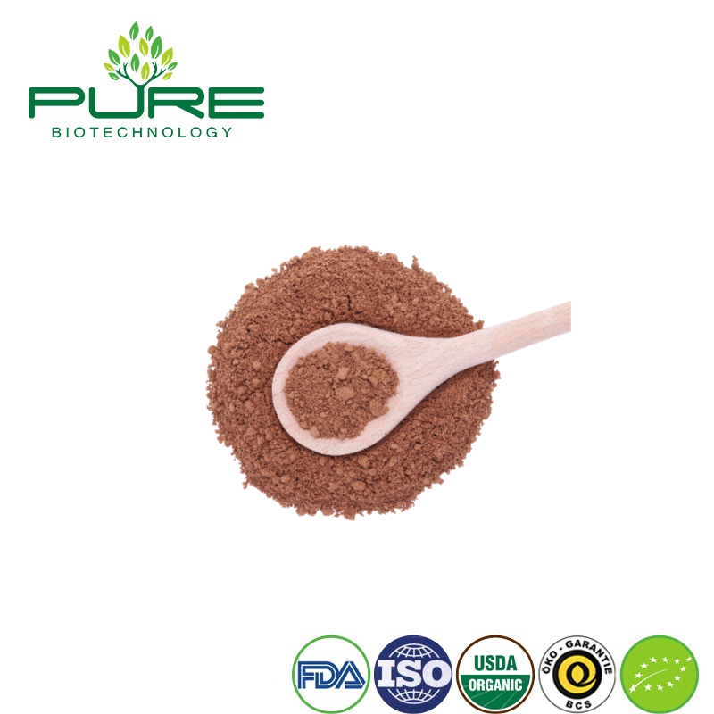Natural Reishi Mushroom Extract Powder for Overall Wellness Boost