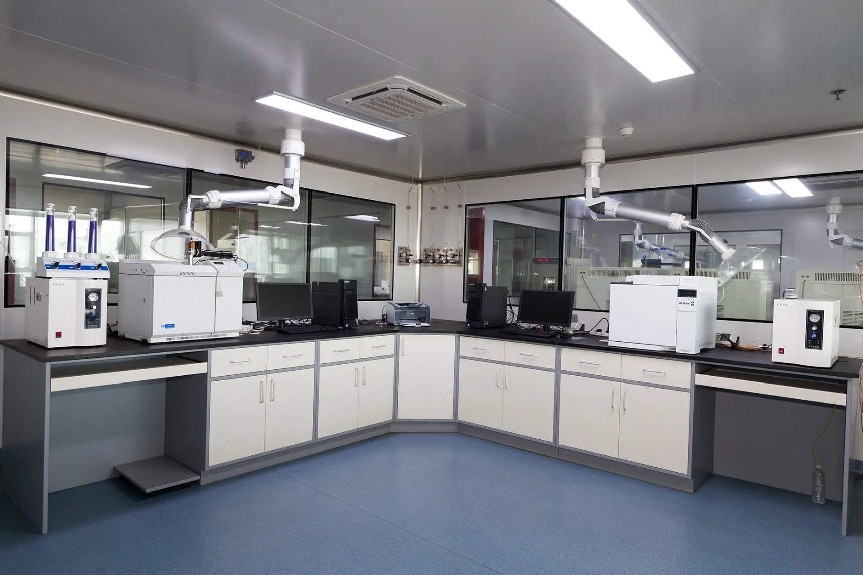 Rare Functional Oligosaccharide Stachyose for Health Food