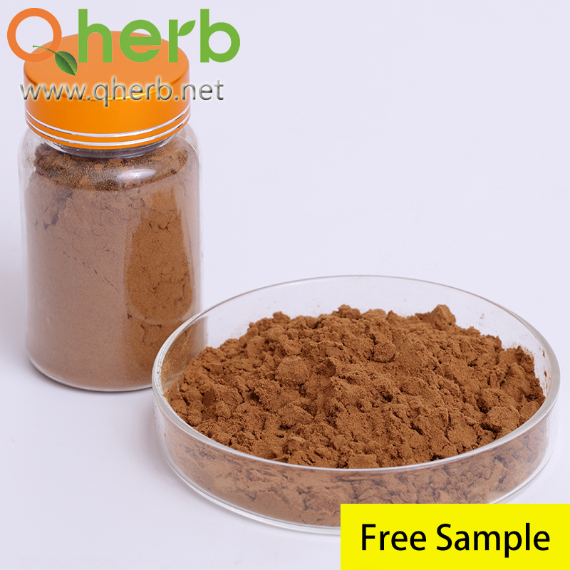 Natural Reishi Polysaccharide Ganoderma Lucidum Lingzhi Reishi Mushroom Extract Powder
