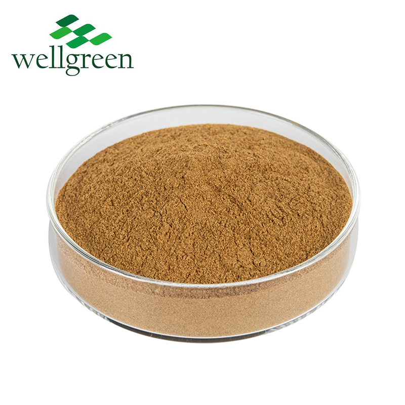 Wellgreen Free Sample Shitake Mushroom Powder Health Products Shitake Mushroom Extract Powder
