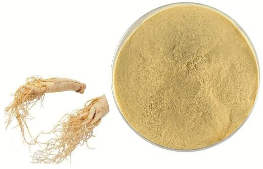 Good Quality Ginseng Extract Powder with Ginsenosides Chinese Traditional Herb Siberian Ginseng Extract Plant Extract