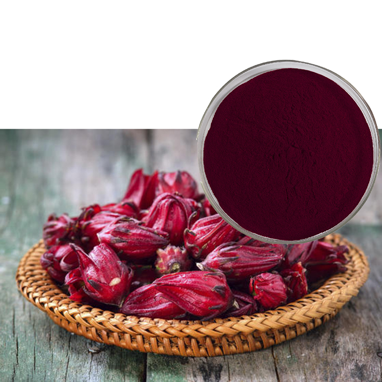 Dried Natural Organic Hibiscus Roselle Flower Plant Extract Powder