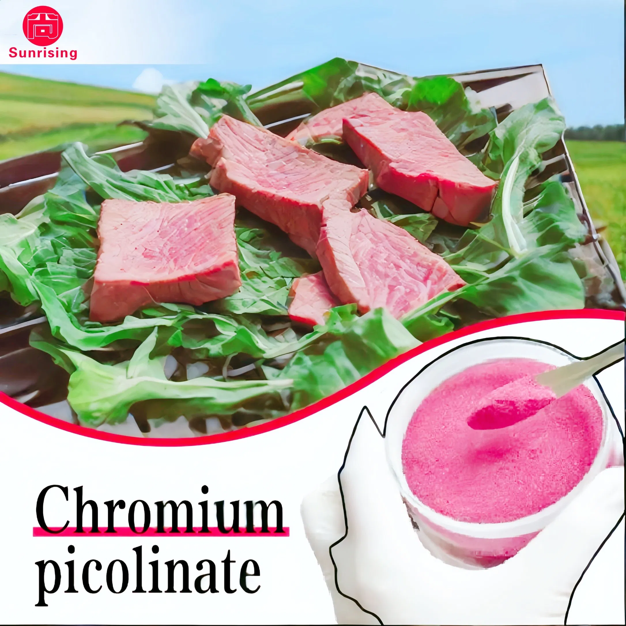 Factory Supply Chromium Picolinate Nutritional Supplement Animal Feed Additives for Sustainable