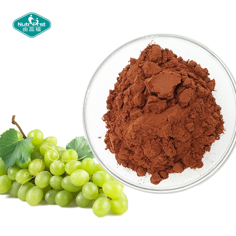 Plant Extract Factory Grape Seed Extract Polyphenols 80% Proanthocyanidin Powder 95% Grape Fruits Seed P. E.