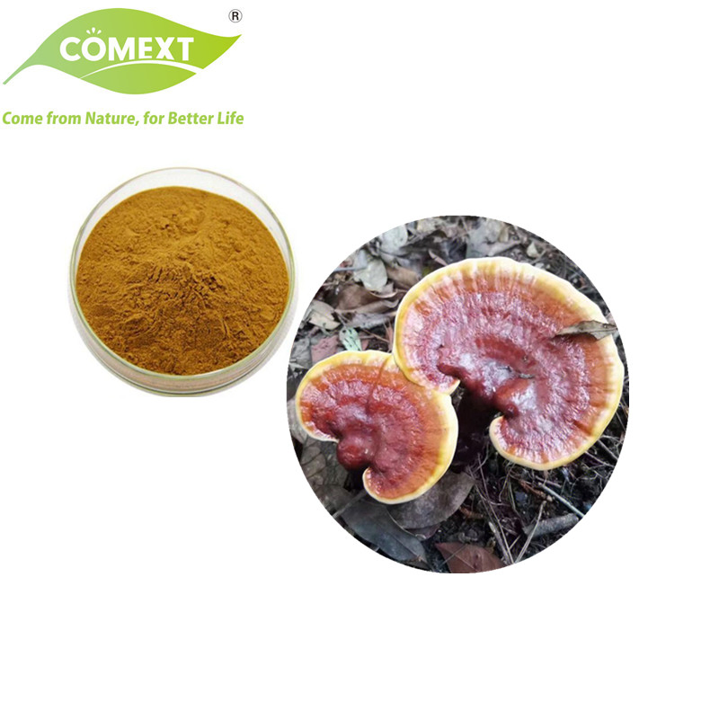Comext Factory 100% Natural Organic Reishi Mushroom Herbal Powder Ganoderma Plant Extract