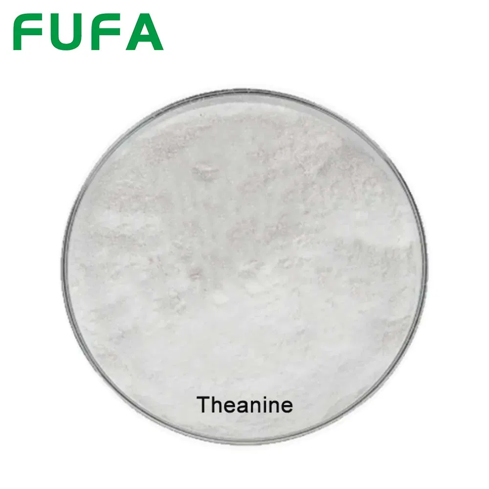 Green Tea Extract Premium 98% L-Theanine as Food Additive