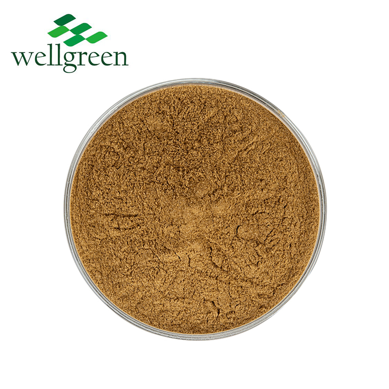 Wellgreen Free Sample Shitake Mushroom Powder Health Products Shitake Mushroom Extract Powder