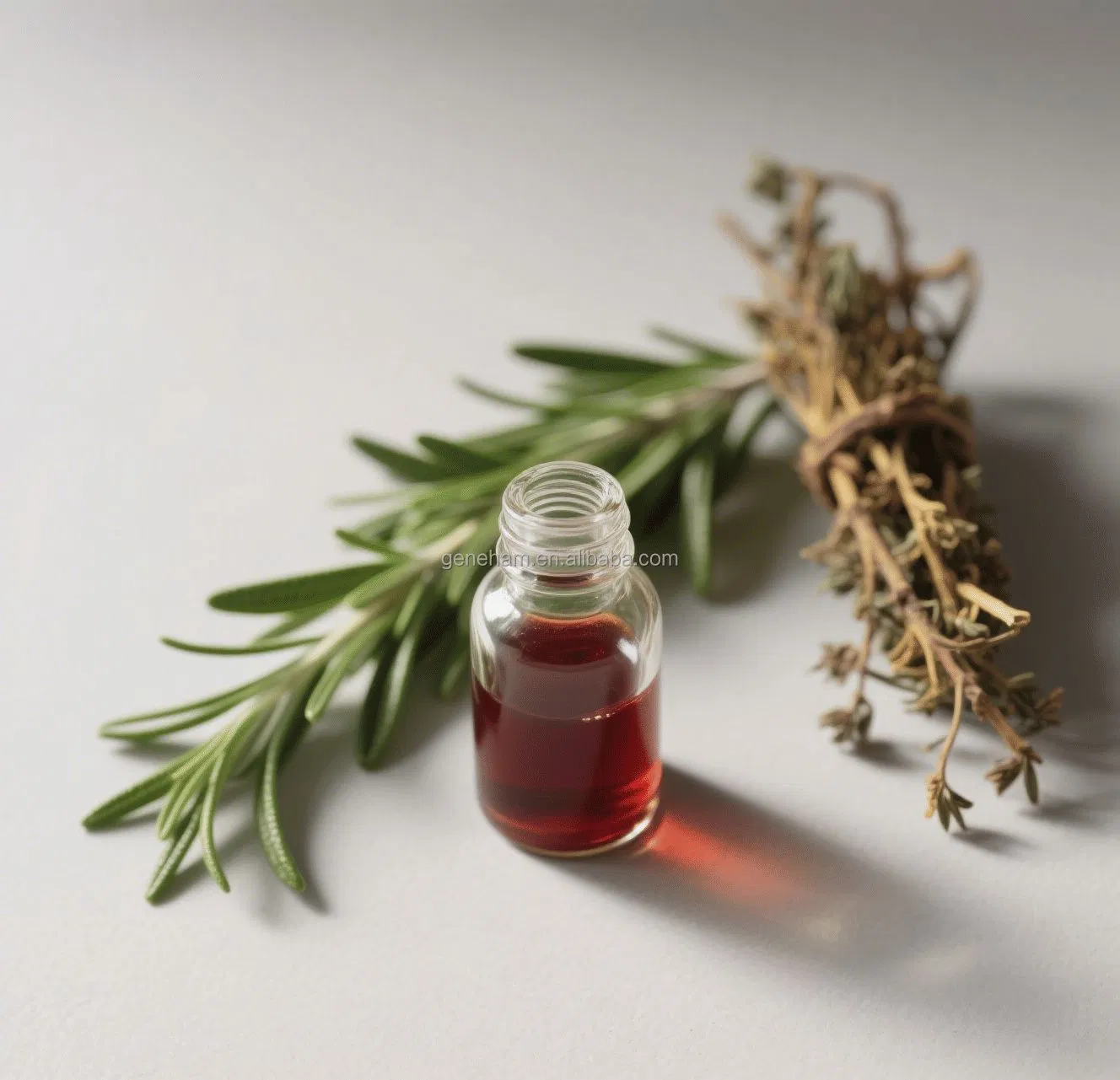 Baking Food Stabilizer Rosemary Extract Rosmarinic Acid Natural Plant Extract Oil