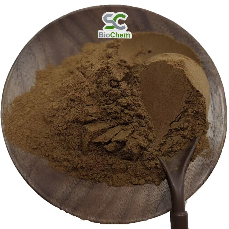 Organic Ganoderma Mushroom Plant Extract Reishi Herbal Powder Extract