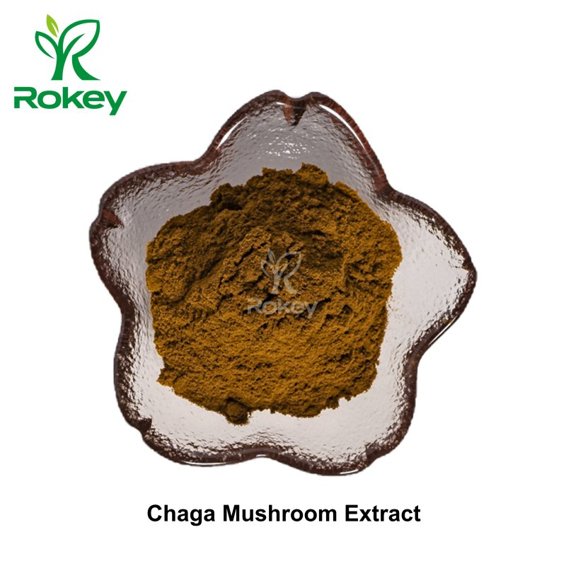 Potent Immune Support &amp; Antioxidant Superfood, Chaga Mushroom Extract Powder