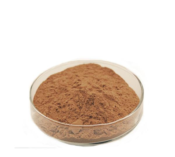 World Well-Being Factory Direct Supplier Free Sample Herbal Extract 100% Natural 10: 1 Acacia Farnesiana Extract