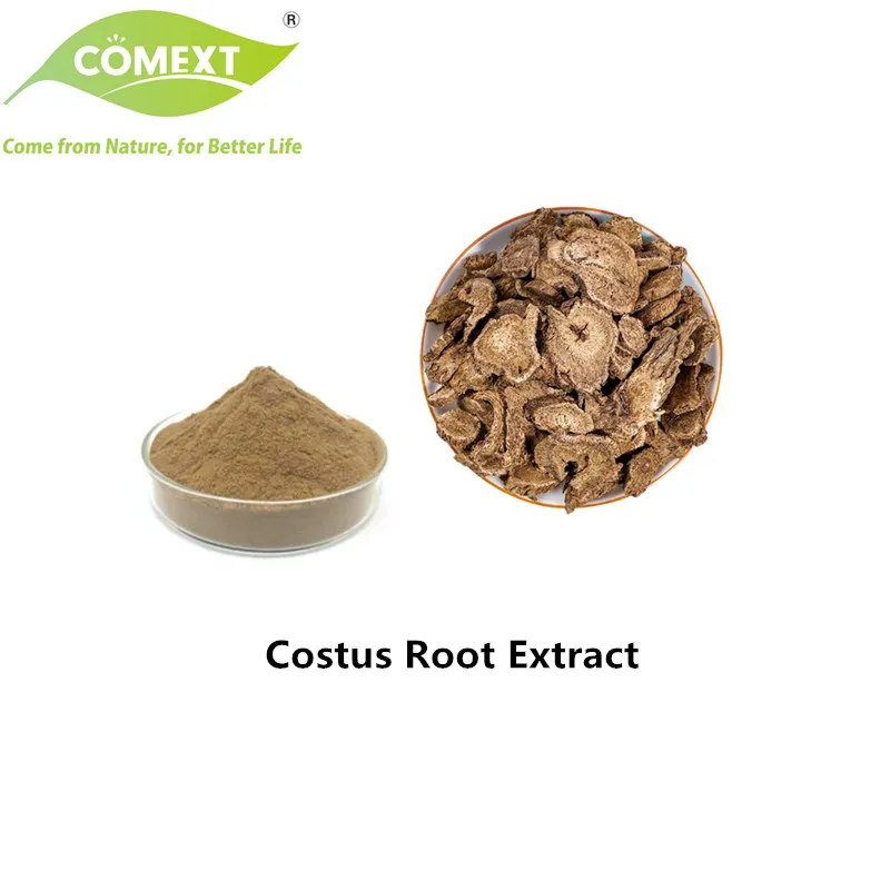Costus Root Extract