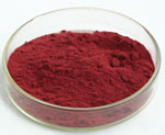 Plant Extract Bilberry Extract 10%~25% Anthocyanidins (UV-VIS) Protect Your Eyesight