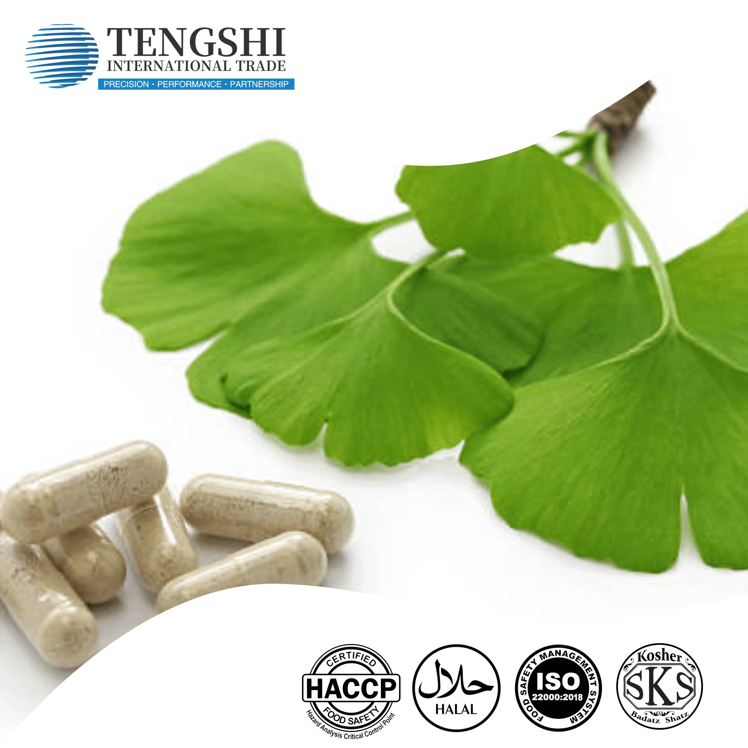 ISO Certified Ginkgo Biloba Extract Powder Health Supplement Raw Material