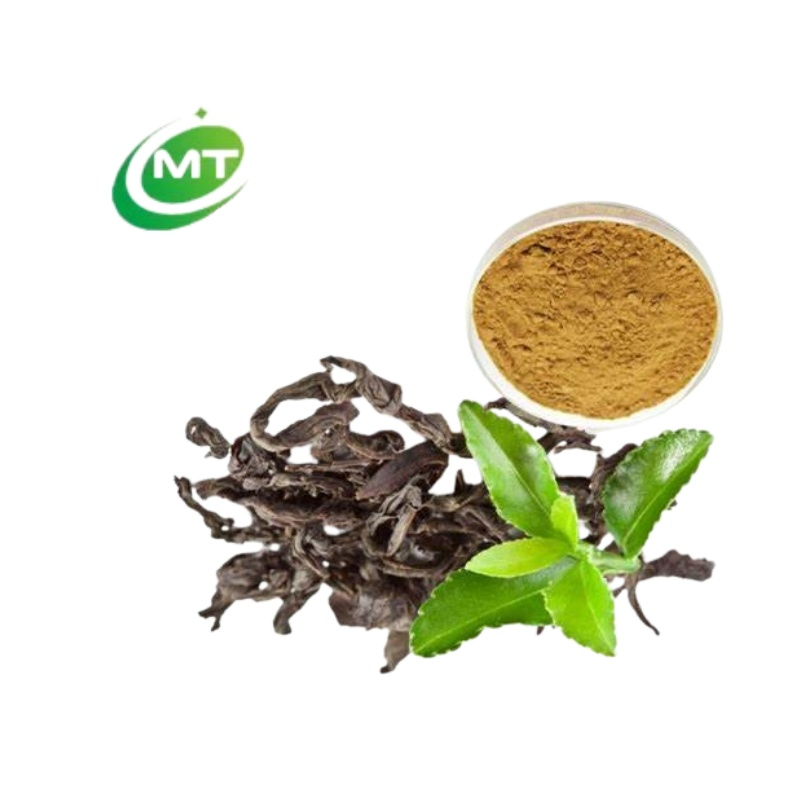 High Quality 100% Pure Camellia Sinensis Instant Green Tea Extract Powder