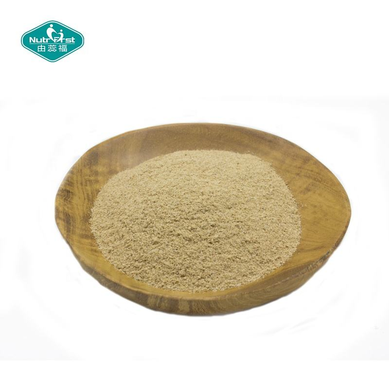 Nutrifirst Supply Organic Cordyceps Mushroom Polysaccharide Cordyceps Militaris Sinensis Extract Powder