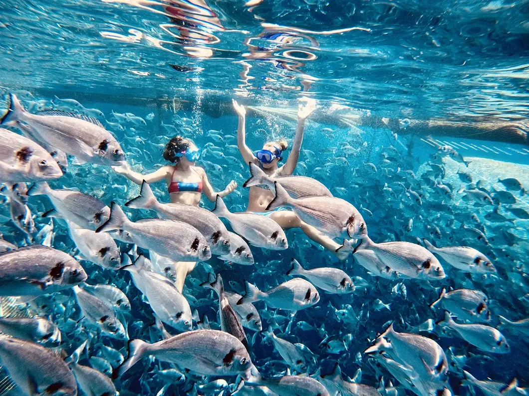 Aquaculture Application