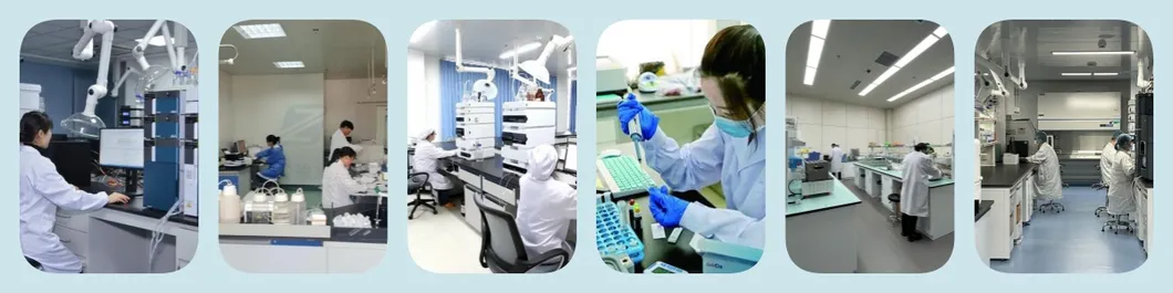 مركز البحث والتطوير