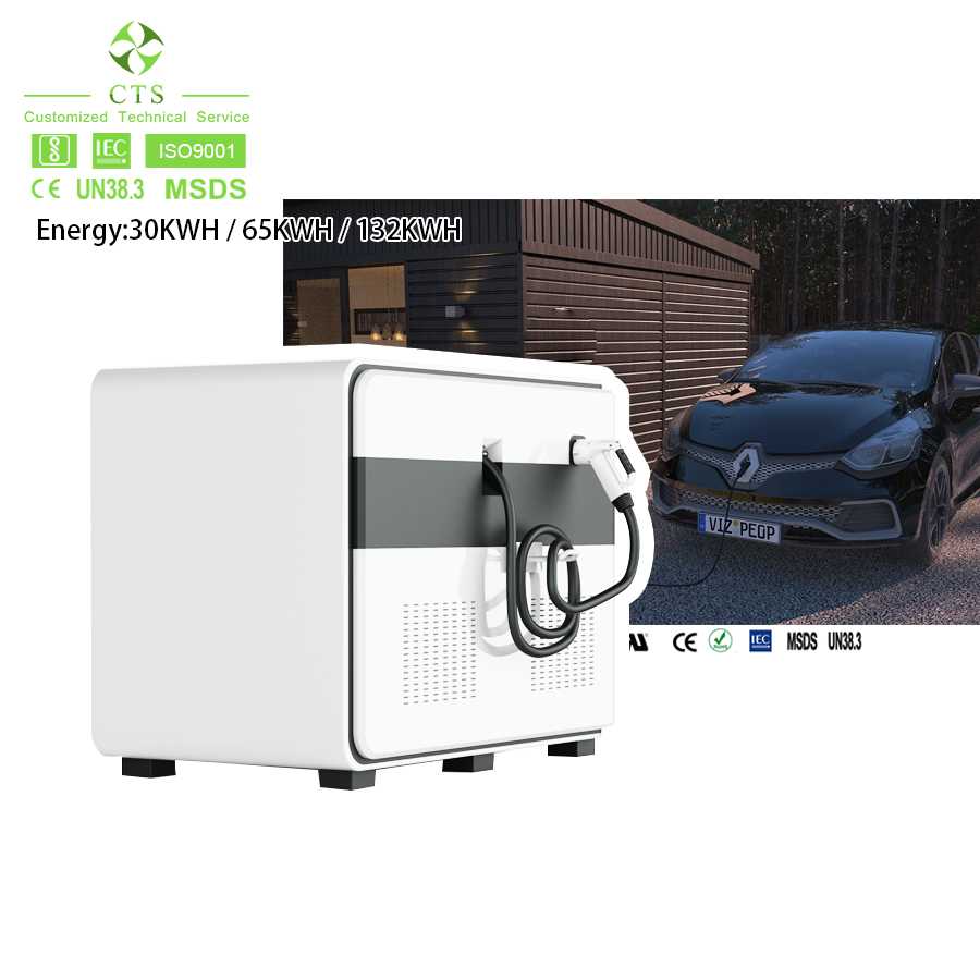 DC Fast EV Mobile Charging System 50kw 120kw 240kw Chademo CCS2 CCS1 Gbt for Electric Cars