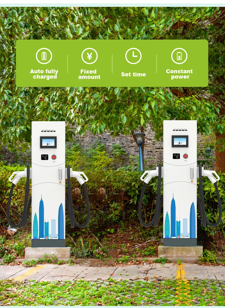 Fast EV Charging Station 6